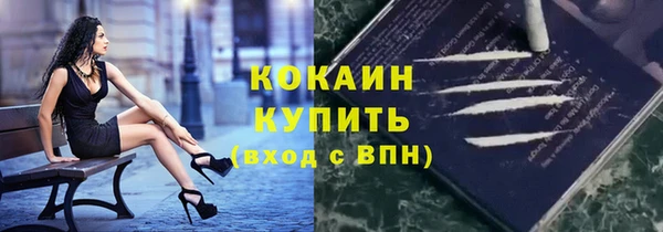 хмурый Вяземский