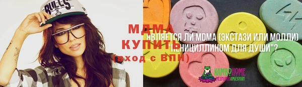 хмурый Вяземский