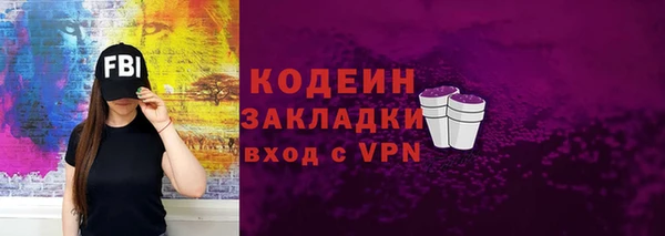 хмурый Вяземский