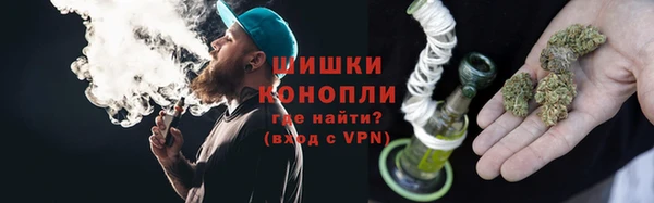 хмурый Вяземский