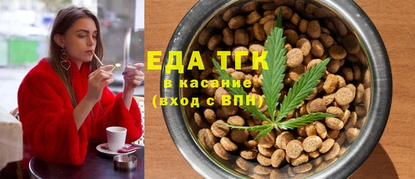 хмурый Вяземский
