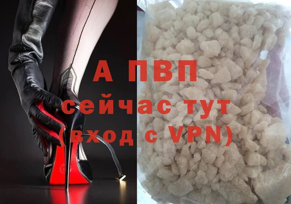 хмурый Вяземский